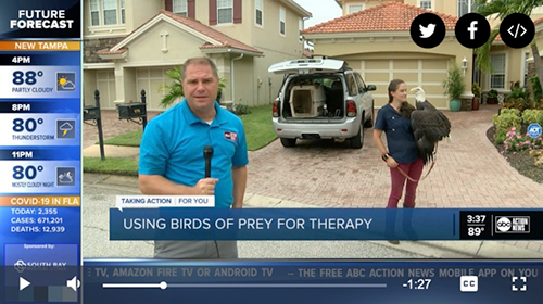 Birds of prey providing therapy for veterans with PTSD